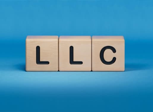 Limited Liability Company (LLC): Limited Liability Company (LLC):