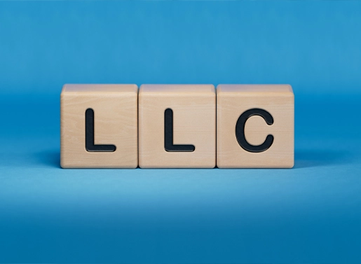 Limited Liability Company