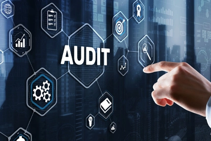 Audit and assessment services